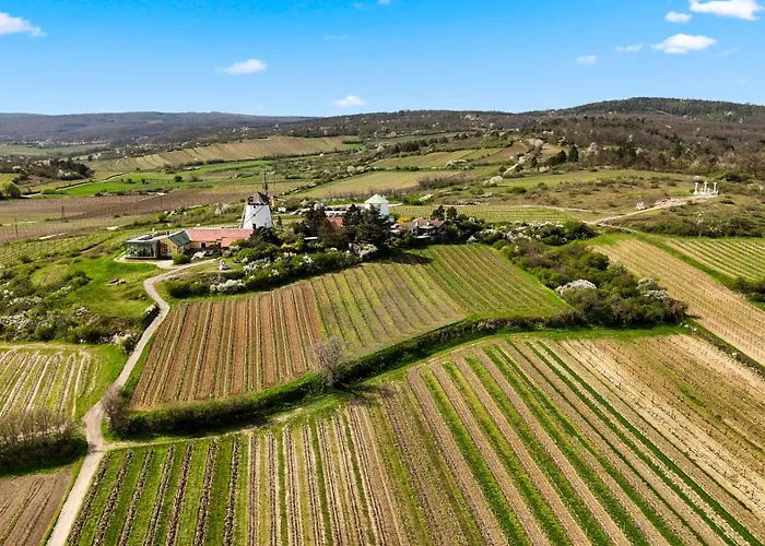 Sgrafit - Self Check-in * Retz