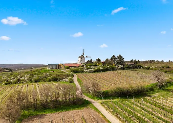 Sgrafit - Self Check-in